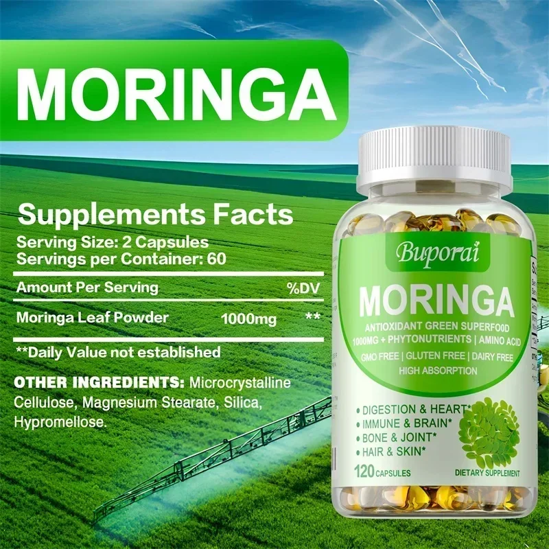 Капсулы Моринга — повышает мет – обзор и цена Moringa Leaf Powder