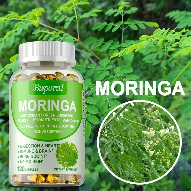 Капсулы Моринга — повышает мет – обзор и цена Moringa Leaf Powder