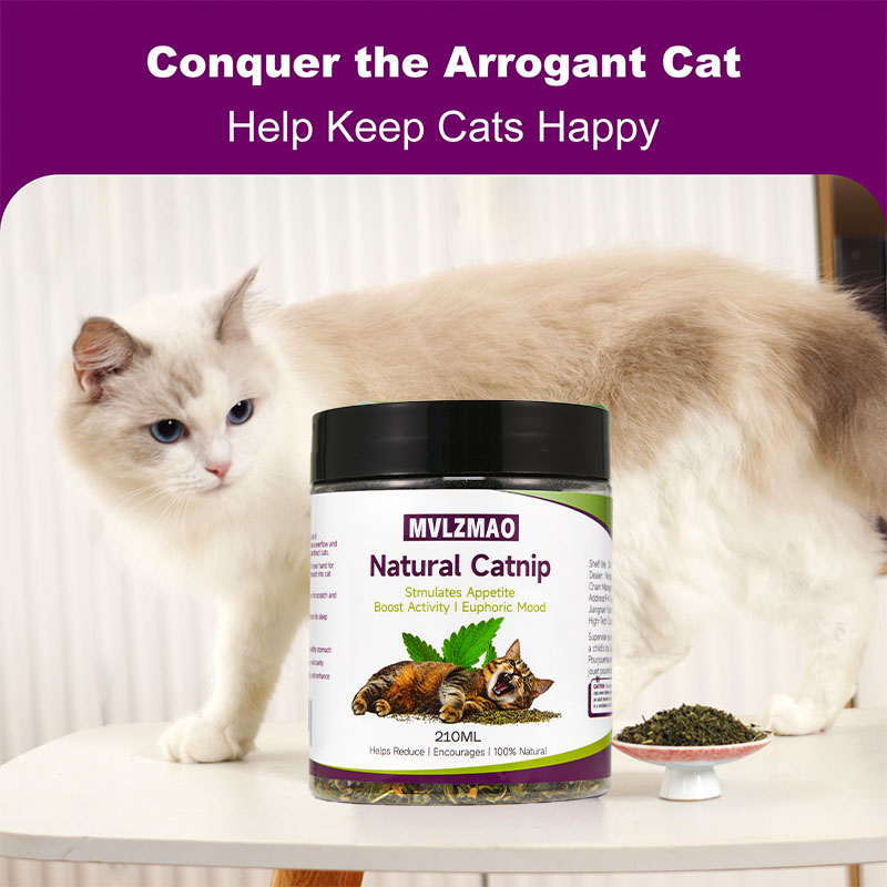 Игрушки для кошек – «Серебряна – обзор и цена Herbal Wellness Products